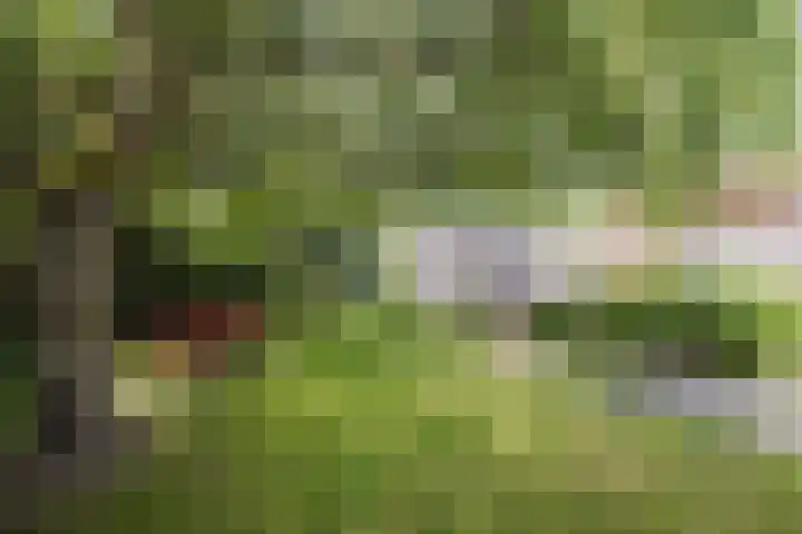 Unseltstraat 11 Valkenswaard thumbnail 26