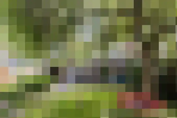 Unseltstraat 11 Valkenswaard thumbnail 27