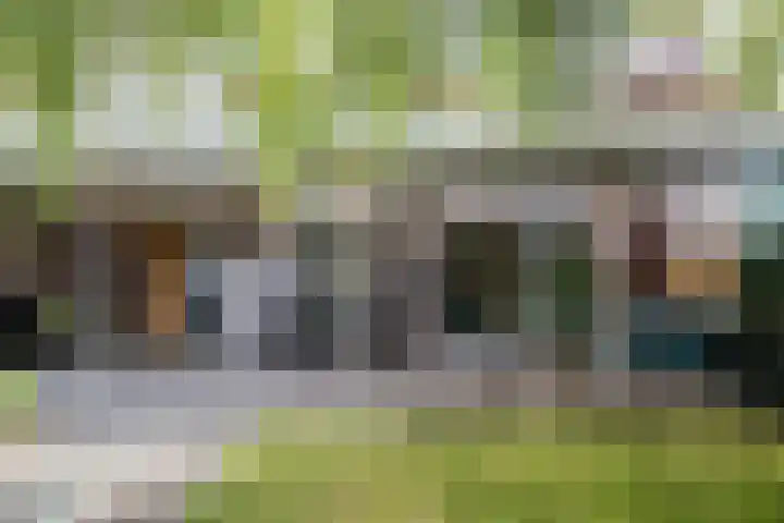 Unseltstraat 11 Valkenswaard thumbnail 28