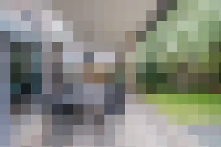 Unseltstraat 11 Valkenswaard thumbnail 29
