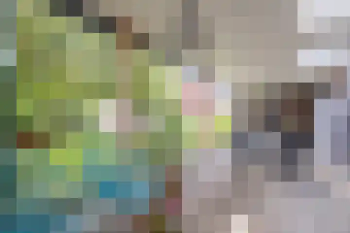 Unseltstraat 11 Valkenswaard thumbnail 30