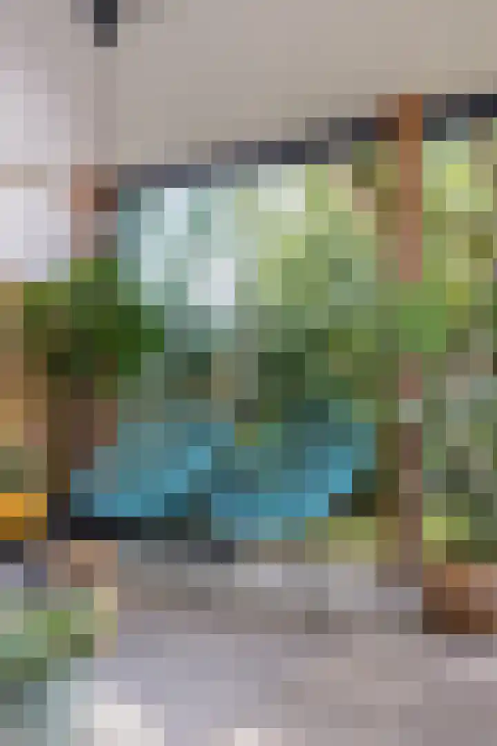 Unseltstraat 11 Valkenswaard thumbnail 33