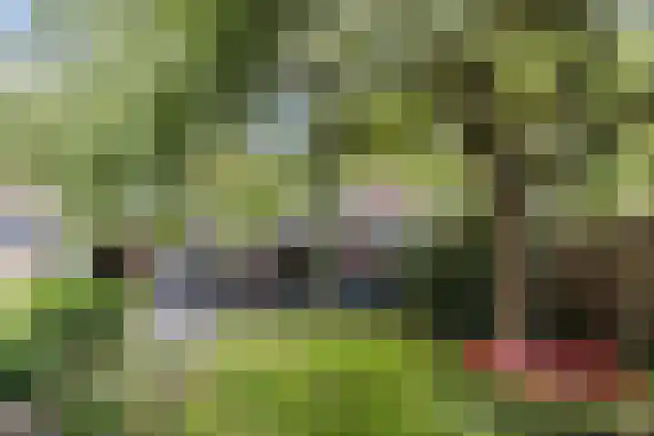 Unseltstraat 11 Valkenswaard thumbnail 34