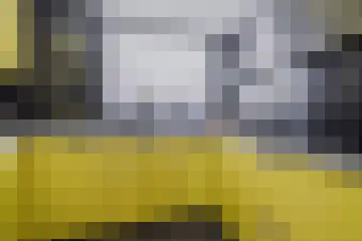 Unseltstraat 11 Valkenswaard thumbnail 4