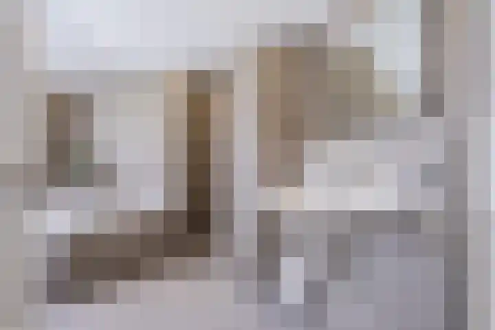 Unseltstraat 11 Valkenswaard thumbnail 5