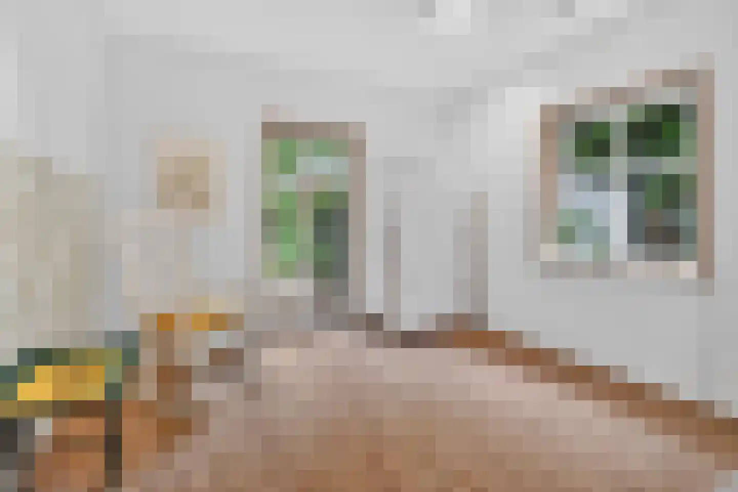 Up de Dohre 31 46399 Bocholt, Duitsland thumbnail 19