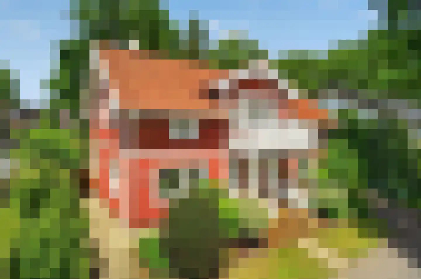 Up de Dohre 31 46399 Bocholt, Duitsland thumbnail 24