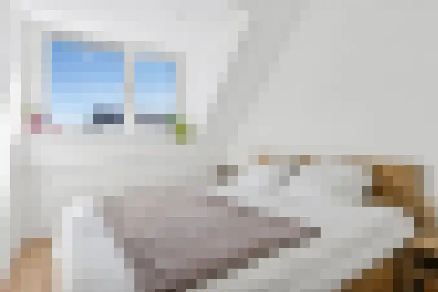 Uraan 32 Zeewolde thumbnail 25