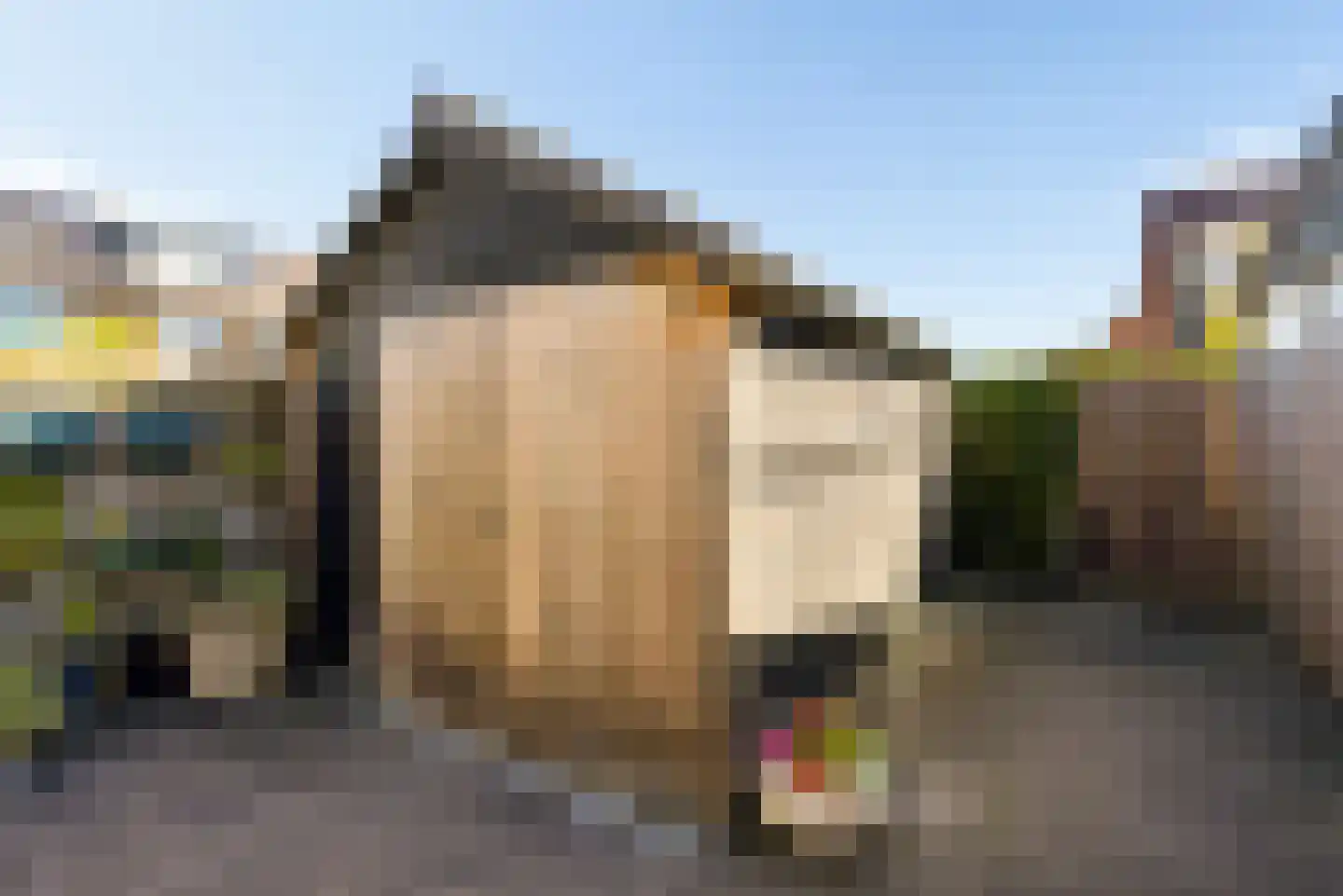 Uraan 32 Zeewolde thumbnail 40