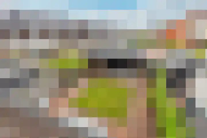 Uraan 34 Zeewolde thumbnail 26