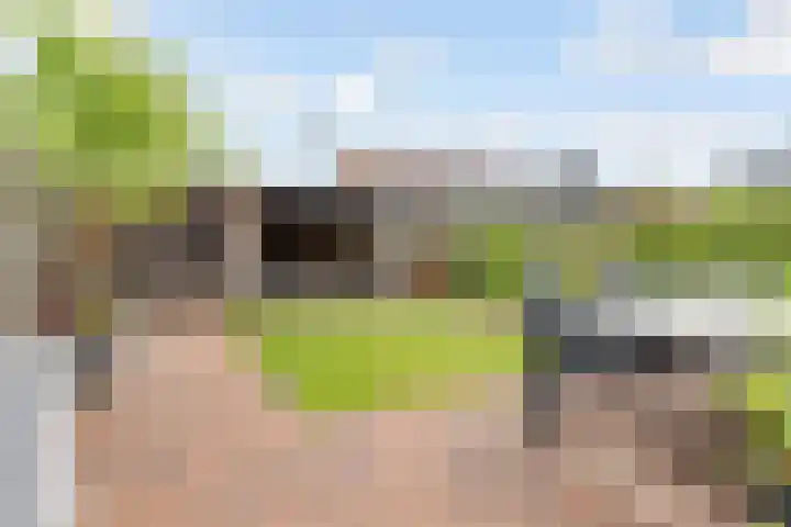 Uraan 34 Zeewolde thumbnail 29