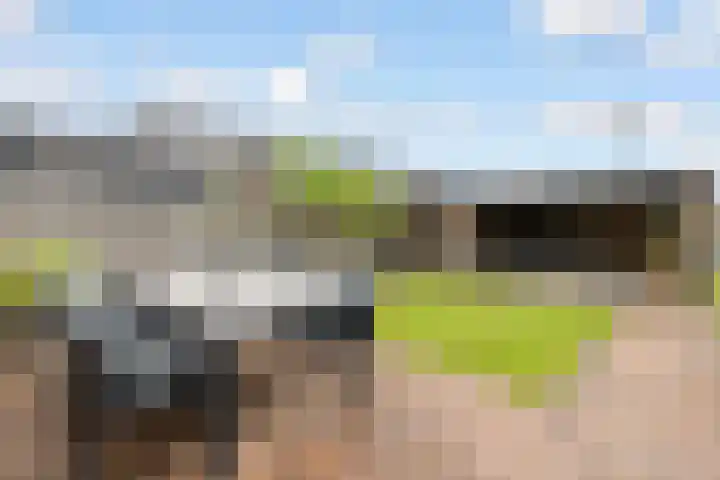 Uraan 34 Zeewolde thumbnail 30