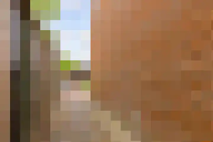 Uraan 34 Zeewolde thumbnail 38