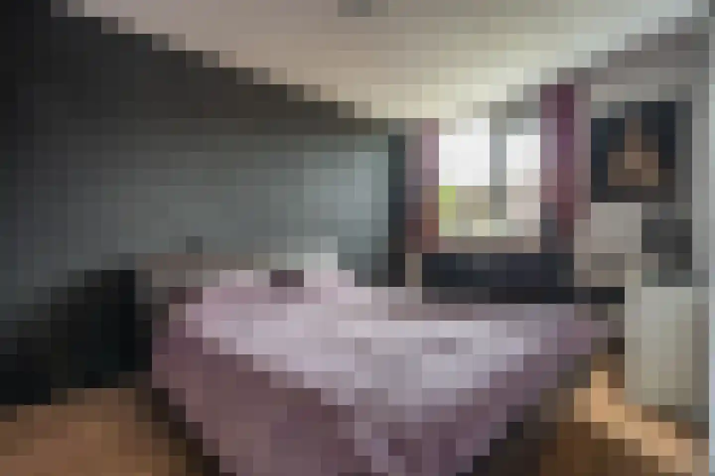Uranus 10 Hoogezand thumbnail 34