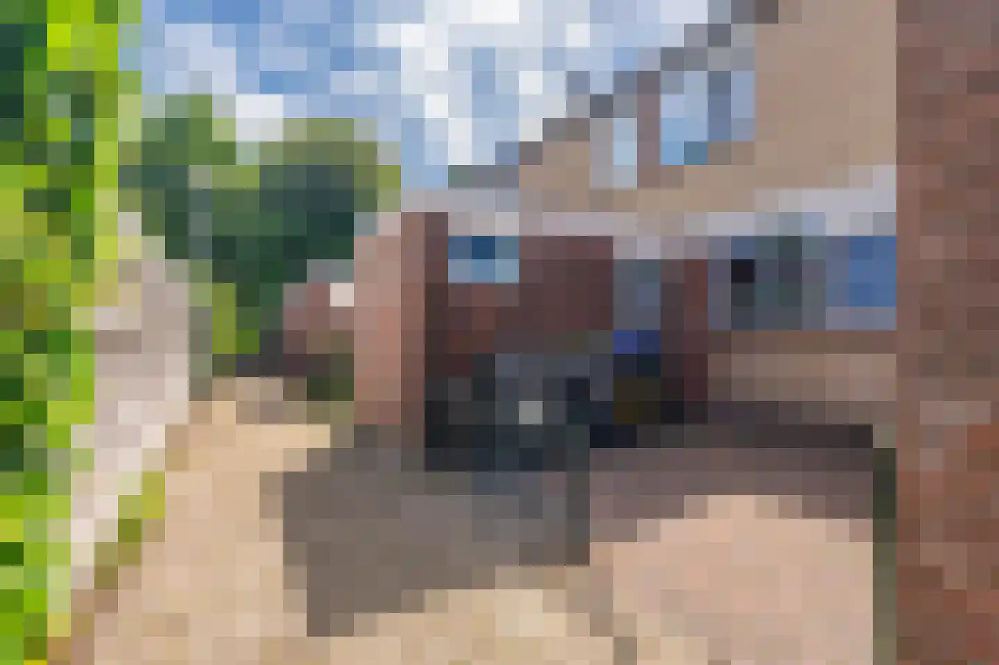 Uranus 10 Hoogezand thumbnail 8
