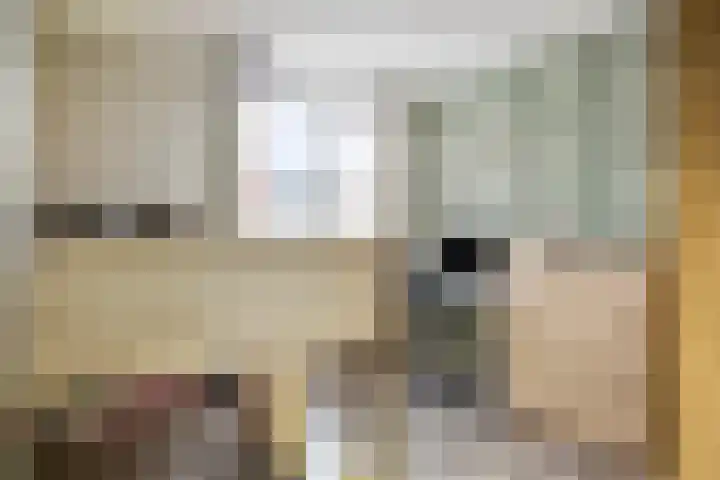 Uranus 11 Hoogezand thumbnail 18