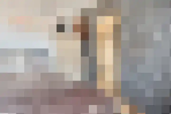 Uranus 11 Hoogezand thumbnail 23