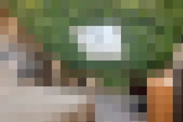 Uranus 11 Hoogezand thumbnail 31