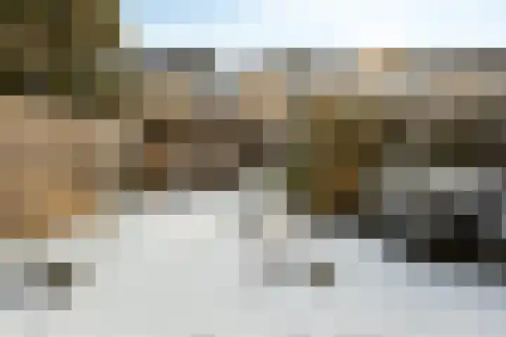 Uranus 11 Hoogezand thumbnail 37
