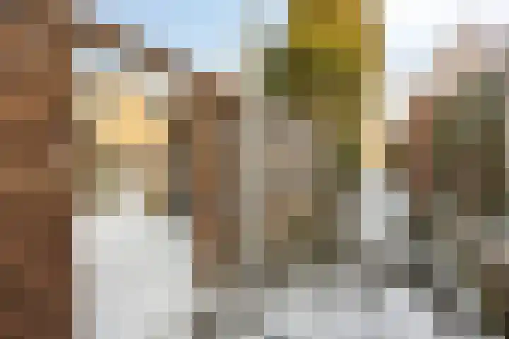 Uranus 11 Hoogezand thumbnail 40