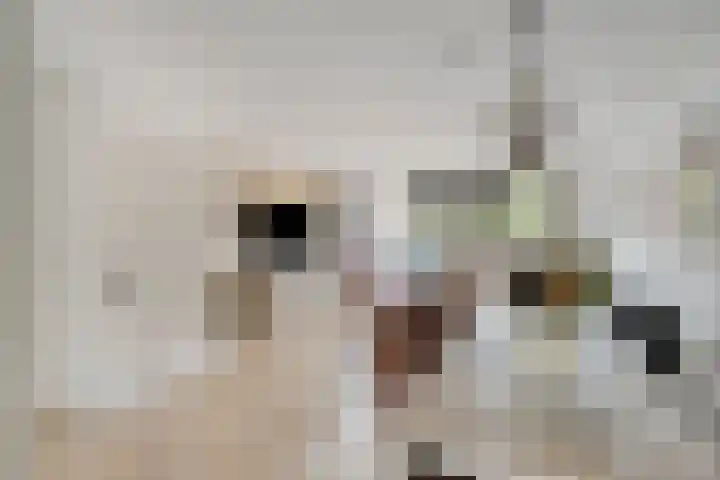 Uranus 11 Katwijk thumbnail 14
