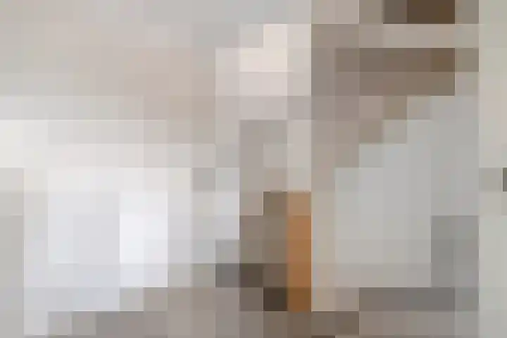 Uranus 11 Katwijk thumbnail 17