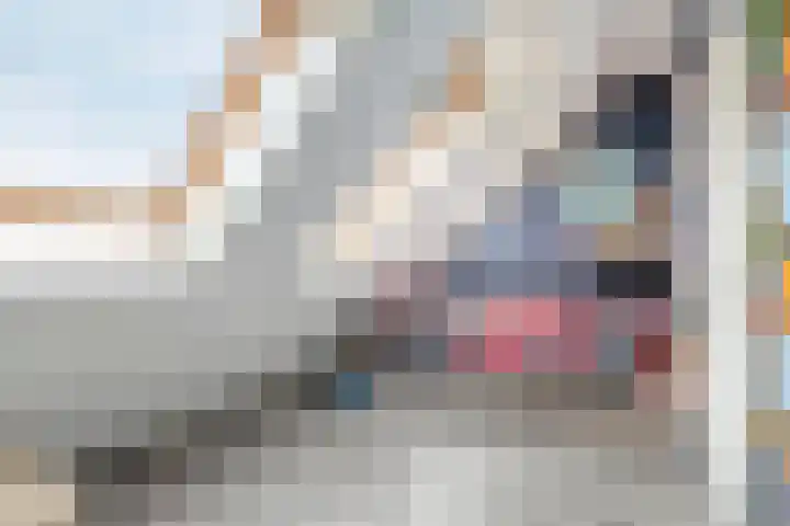 Uranus 11 Katwijk thumbnail 25