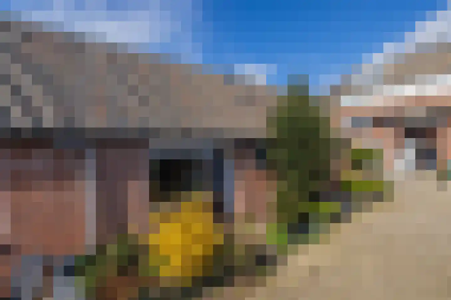 Uranus 14 Katwijk thumbnail 5