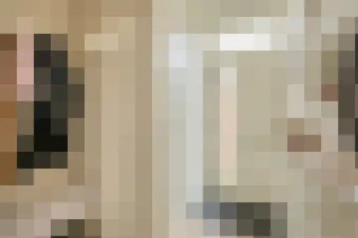 Uranus 19 Hoogezand thumbnail 10