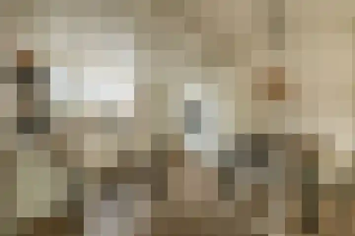 Uranus 19 Hoogezand thumbnail 16