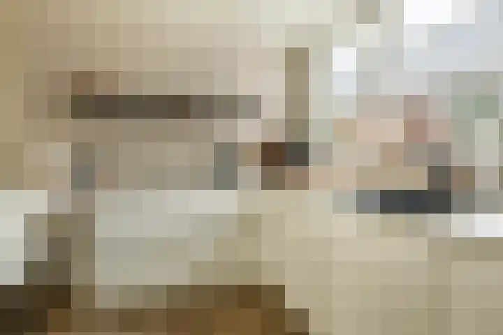 Uranus 19 Hoogezand thumbnail 17