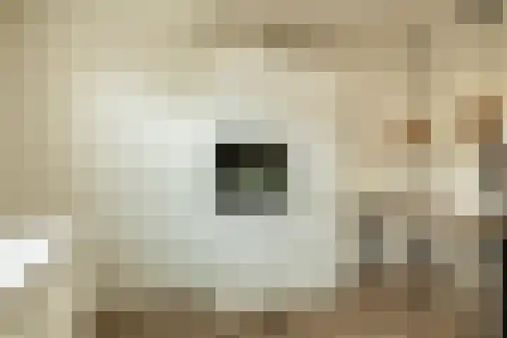 Uranus 19 Hoogezand thumbnail 19