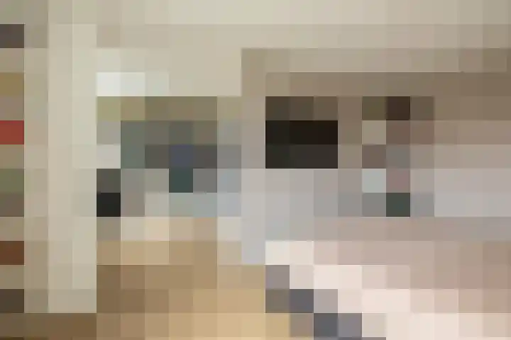 Uranus 19 Hoogezand thumbnail 24