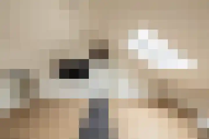 Uranus 19 Hoogezand thumbnail 29