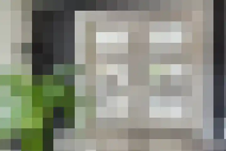 Uranus 20 Hoogezand thumbnail 10