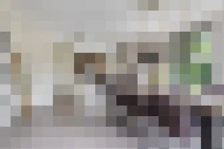 Uranus 20 Hoogezand thumbnail 12