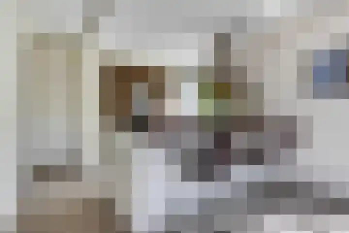 Uranus 20 Hoogezand thumbnail 15