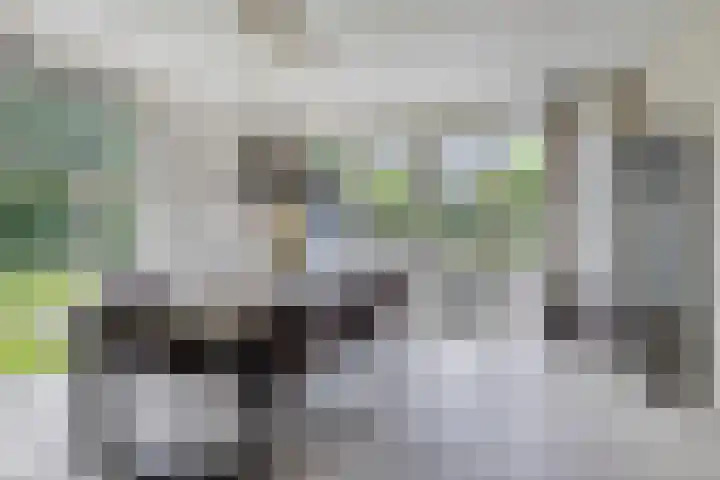 Uranus 20 Hoogezand thumbnail 16