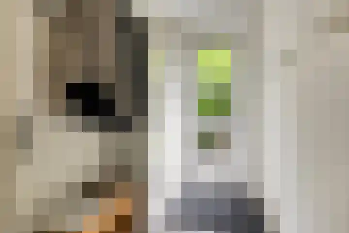 Uranus 20 Hoogezand thumbnail 18