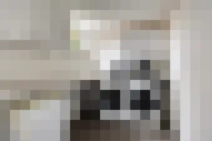 Uranus 20 Hoogezand thumbnail 19