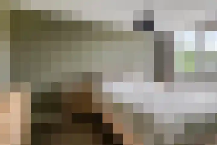 Uranus 20 Hoogezand thumbnail 23