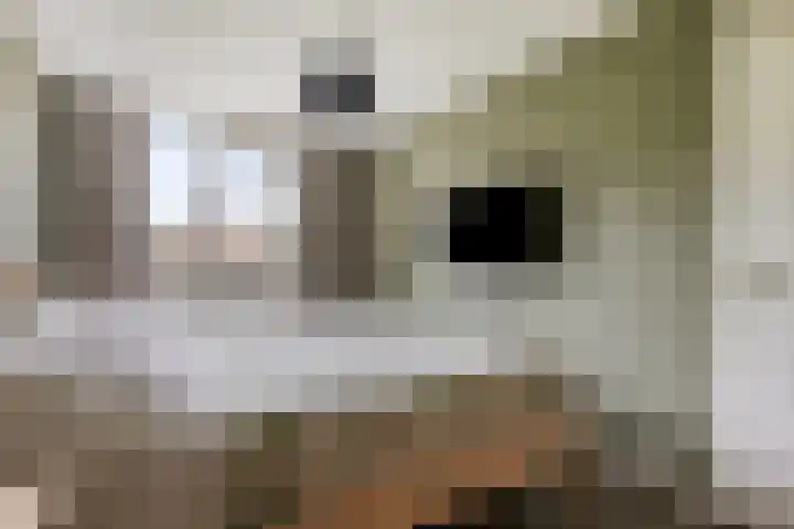Uranus 20 Hoogezand thumbnail 24