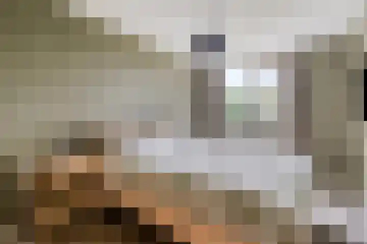 Uranus 20 Hoogezand thumbnail 25