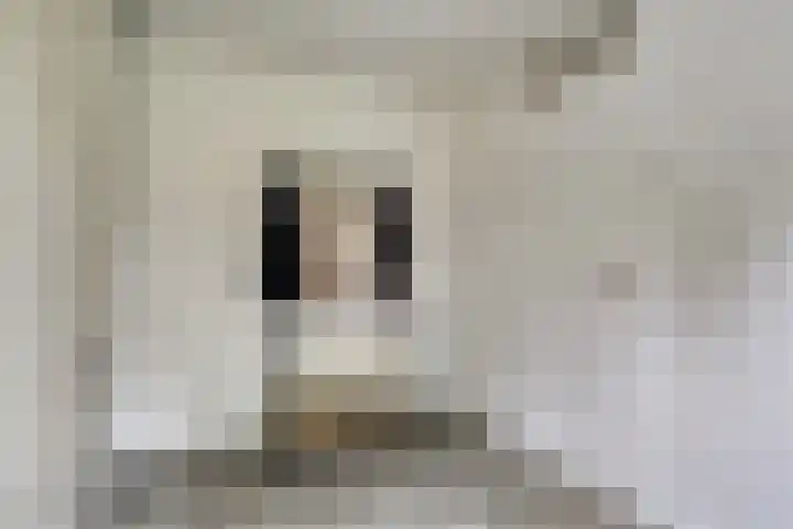 Uranus 20 Hoogezand thumbnail 28