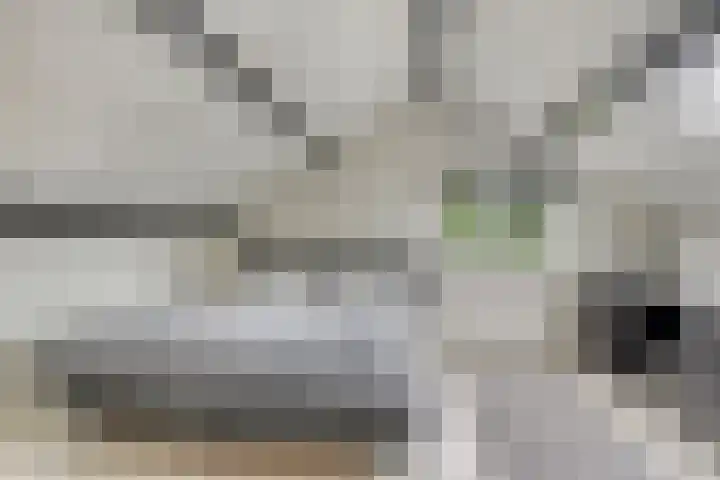 Uranus 20 Hoogezand thumbnail 32