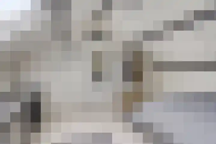Uranus 20 Hoogezand thumbnail 33