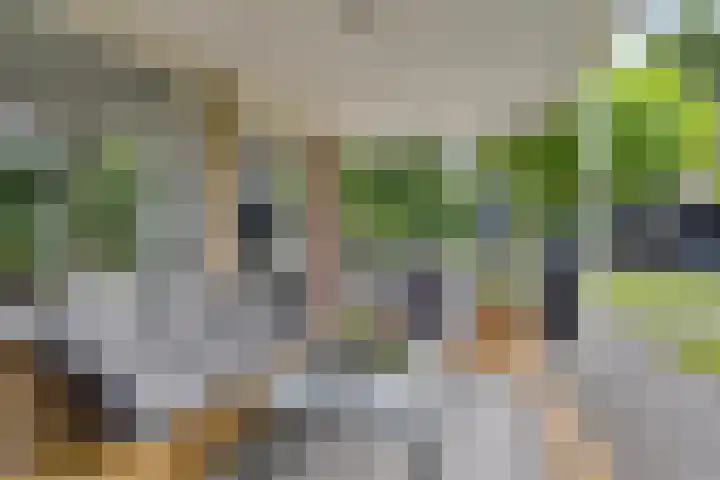 Uranus 20 Hoogezand thumbnail 35