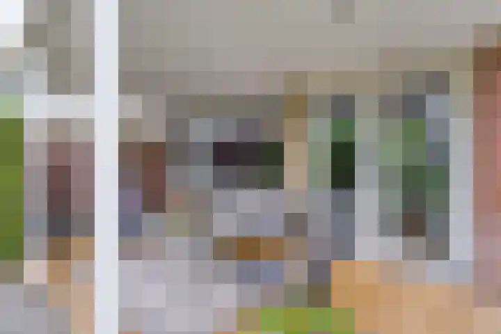 Uranus 20 Hoogezand thumbnail 36