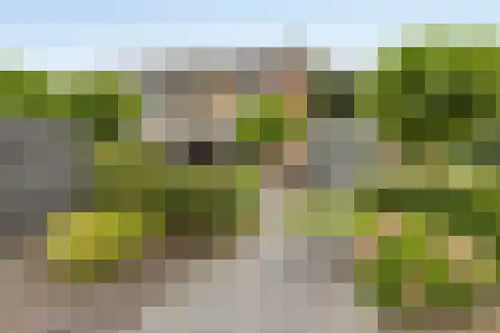 Uranus 20 Hoogezand thumbnail 38