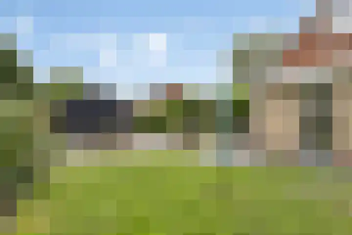 Uranus 20 Hoogezand thumbnail 41